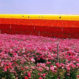 开发商澄清：《心灵杀手2》十月发售并非对抗《蜘蛛侠2》