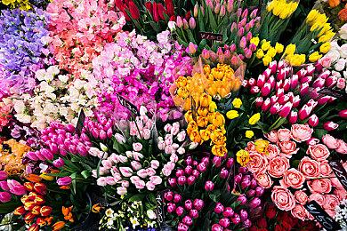 雲豹娛樂盛大參與 2025 台北國際電玩展公開第二波舞台活動內容